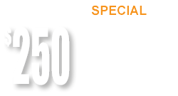 QEEG Brain Map Price $100